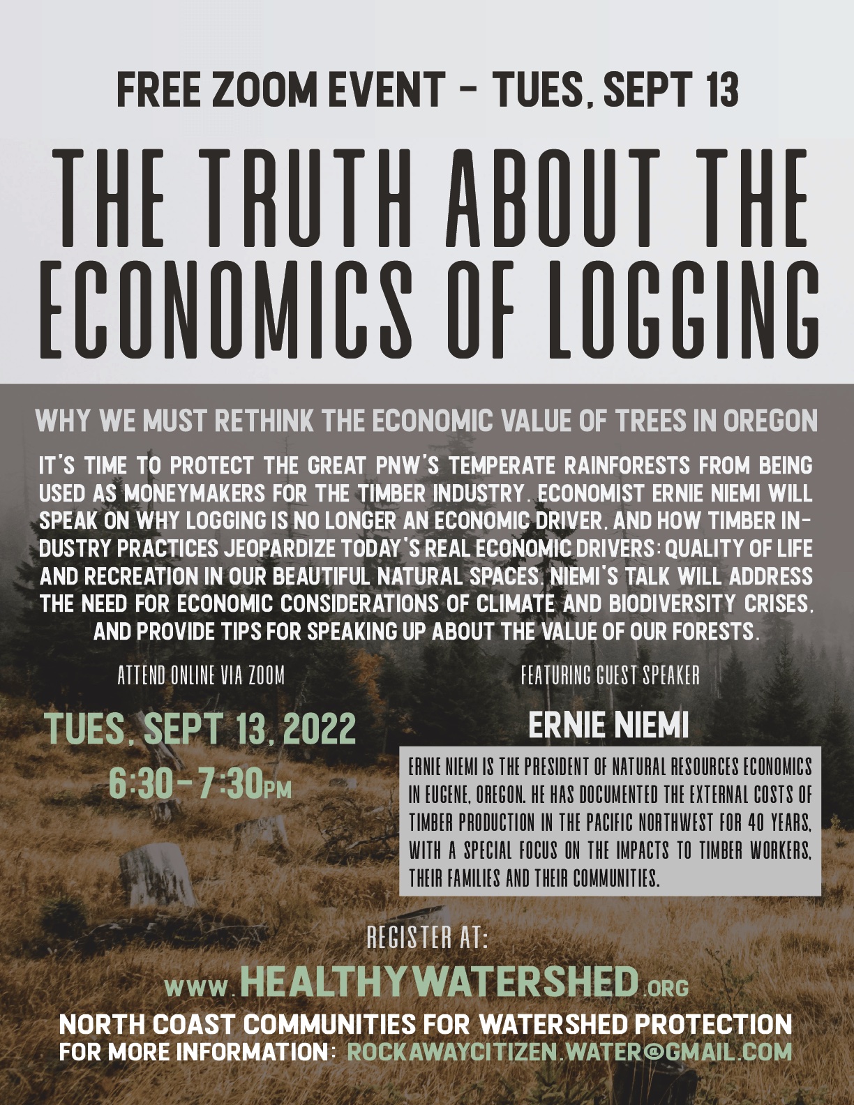 Logging Economics Flyer